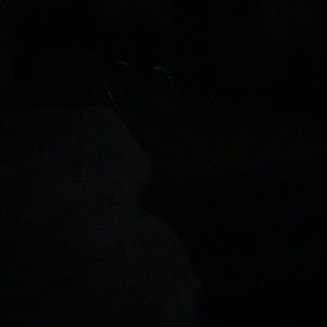 Meet your Posher, Shelly